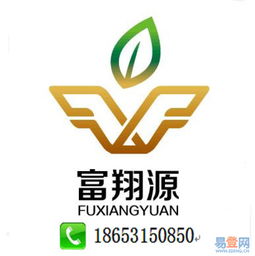 濟南公司代理記賬服務詳解 歷城區(qū)洪家樓易登網(wǎng)與知識產(chǎn)權代理的協(xié)同優(yōu)勢